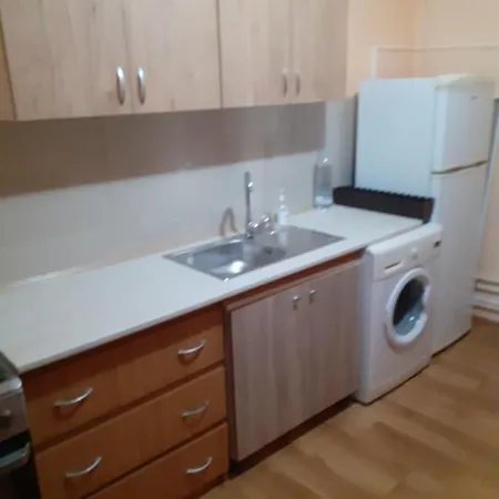 Studio Pescarusul Apartment *